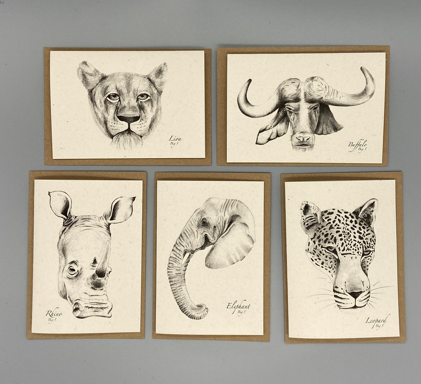 African Big 5 Note Cards