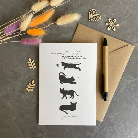 Cat Birthday Card