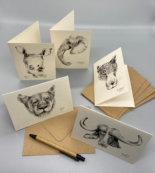 Eco Friendly Big 5 Note Cards