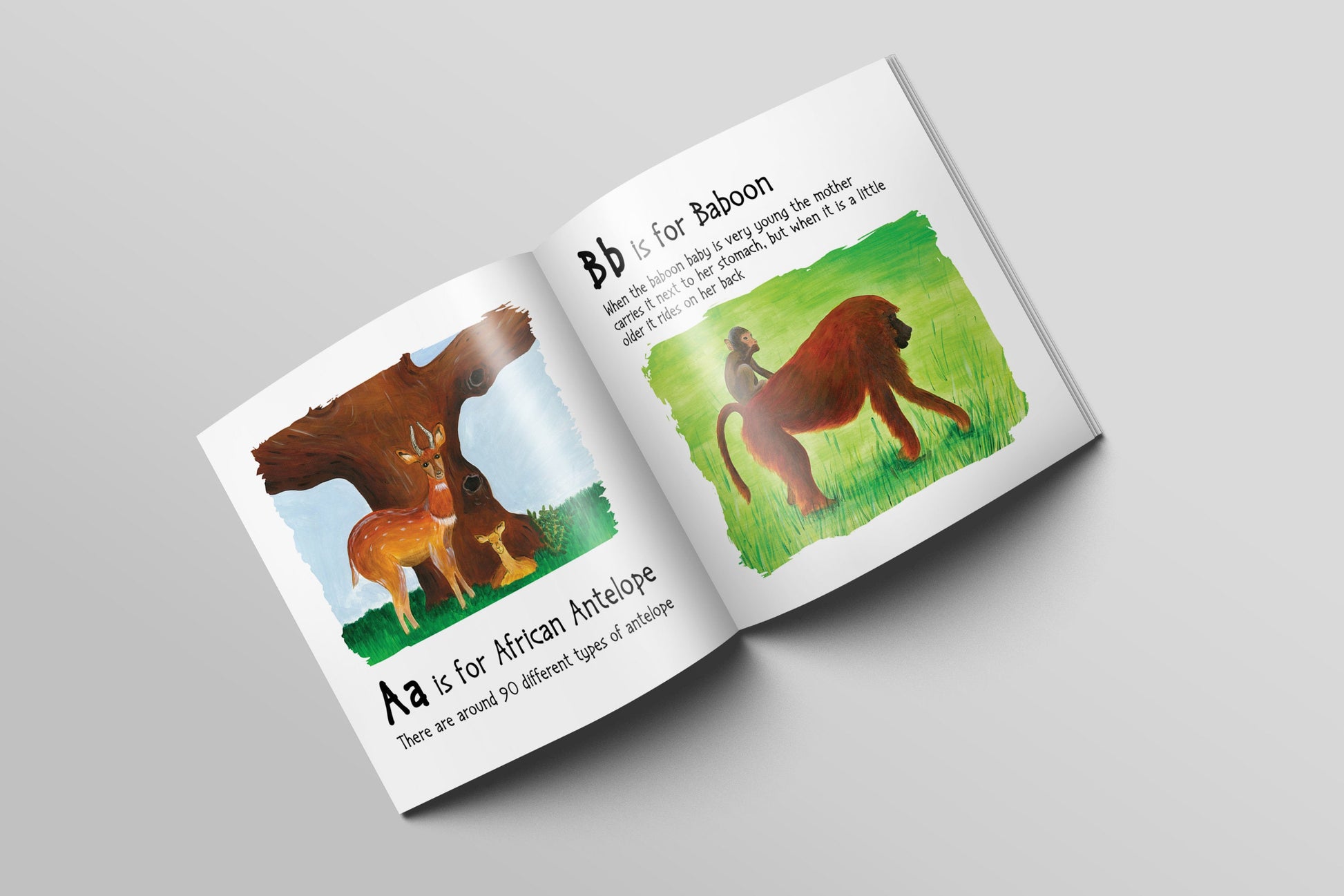 Each picture in the book is accompanied by a fun learning fact