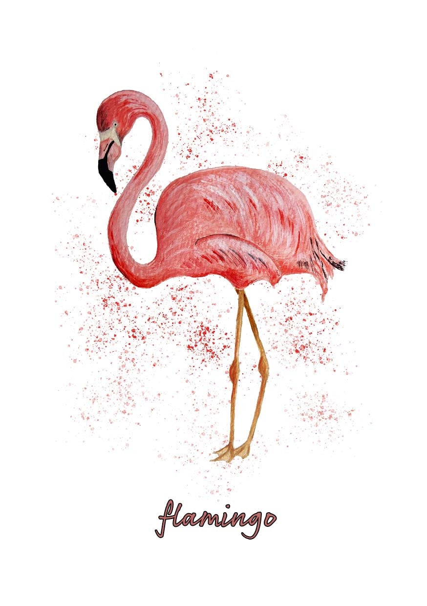 Flamingo Note Cards